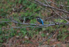 ちょっと一休み