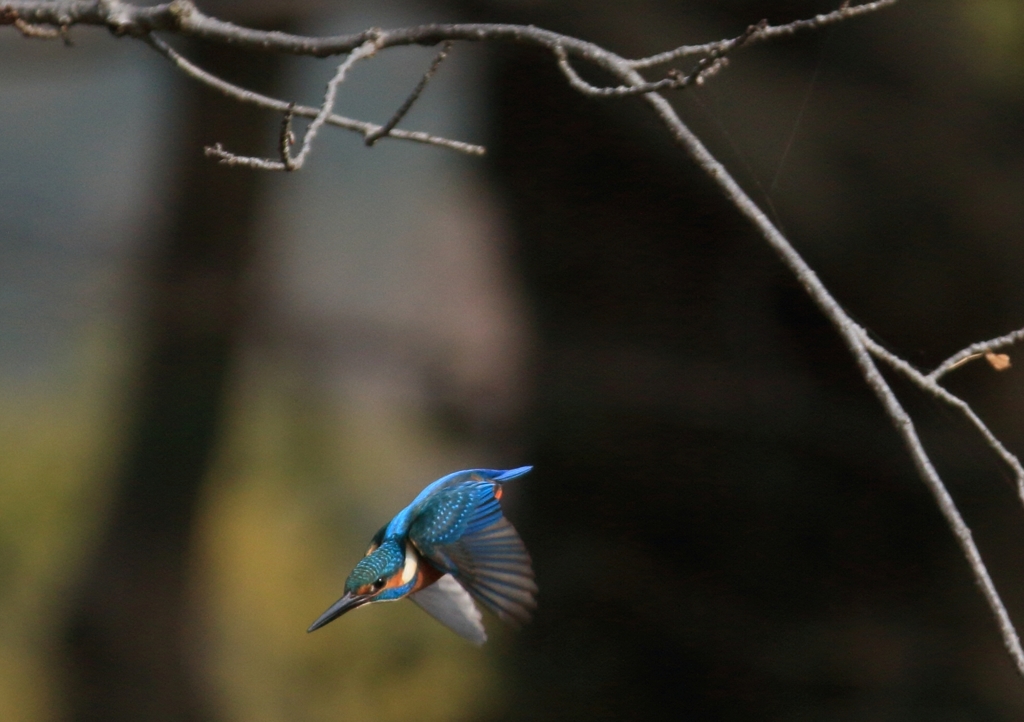 外堀　3連射　2枚目