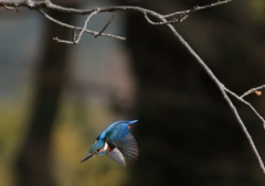 外堀　3連射　2枚目