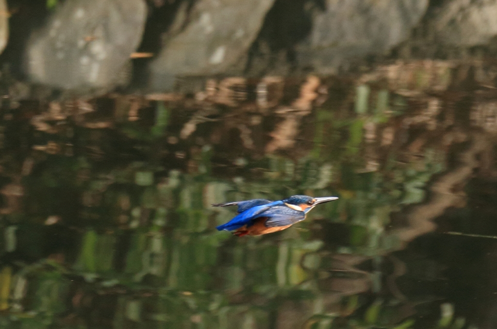 飛んでけ～