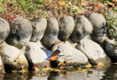 どこまでもゆくよ～！