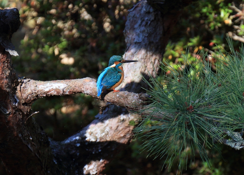 太陽光を浴びる背中