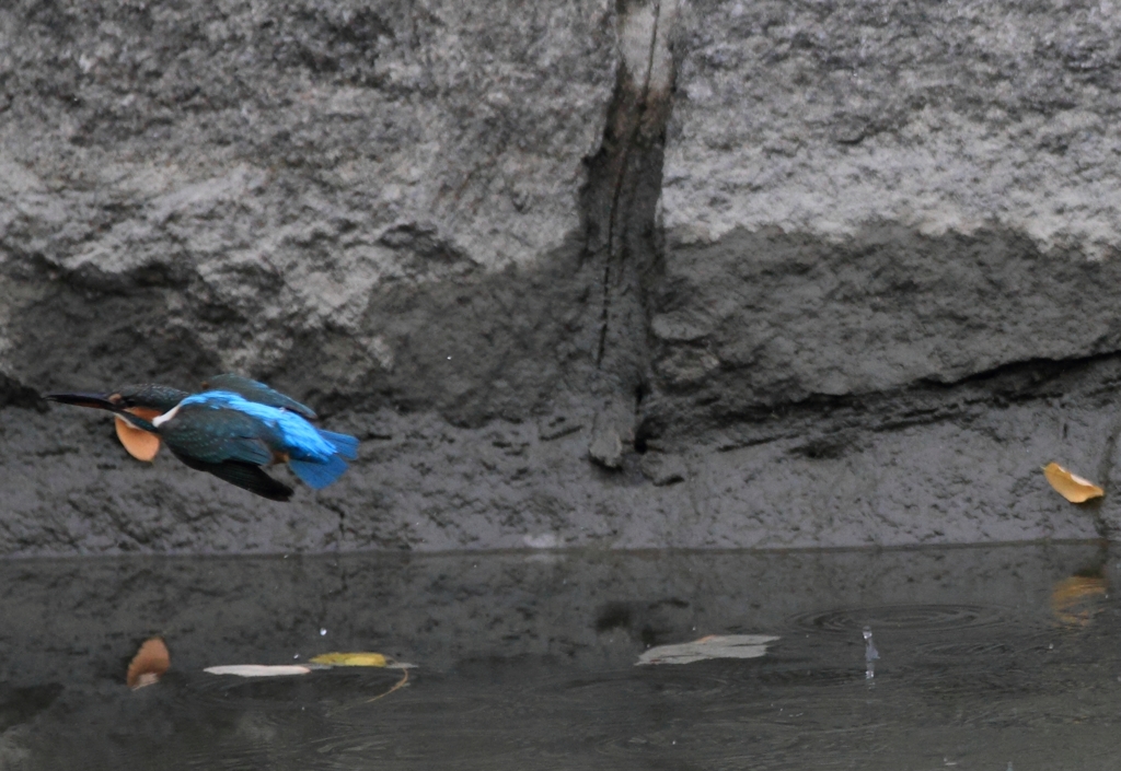 この先行方不明2