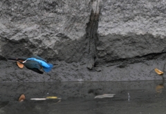 この先行方不明2