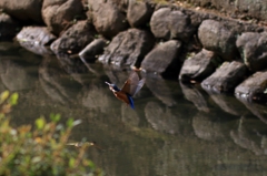 ホバから方向転換8