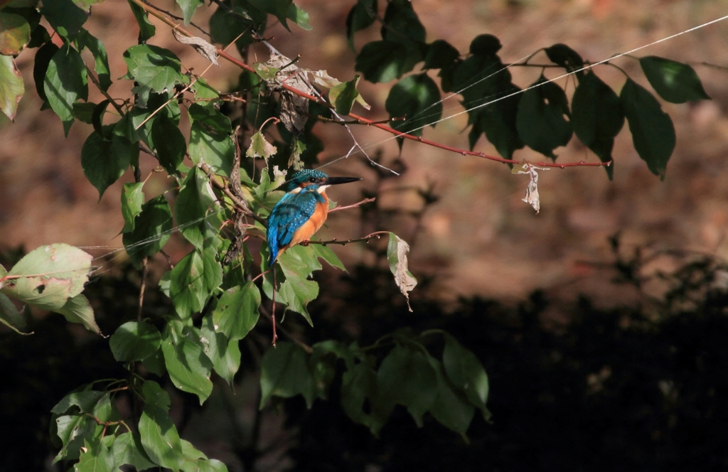 まさしく、陽のあたる場所
