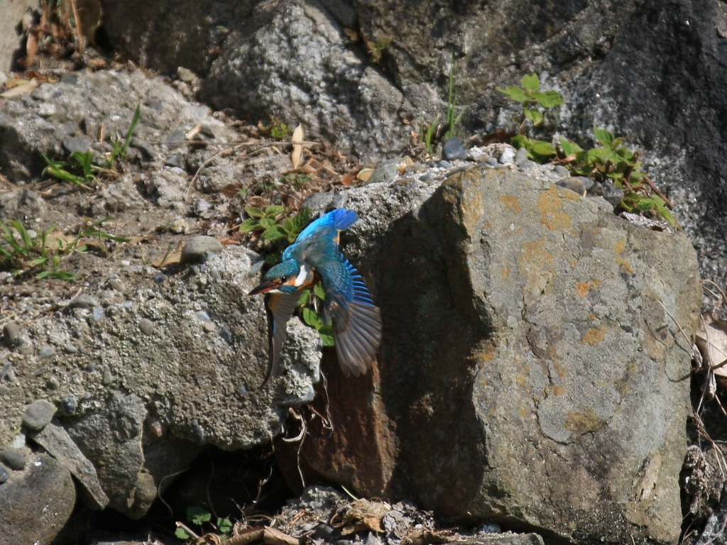 陽当たり良好　②