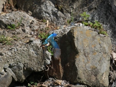 陽当たり良好 ②