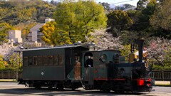 坊っちゃん列車
