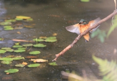 どっこらしょ・・・