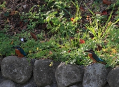 仲良いんだか？？