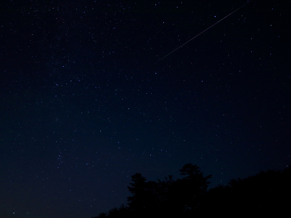 ペルセウス座流星群（石鎚山系）　①