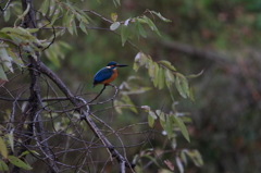 希望を持って！