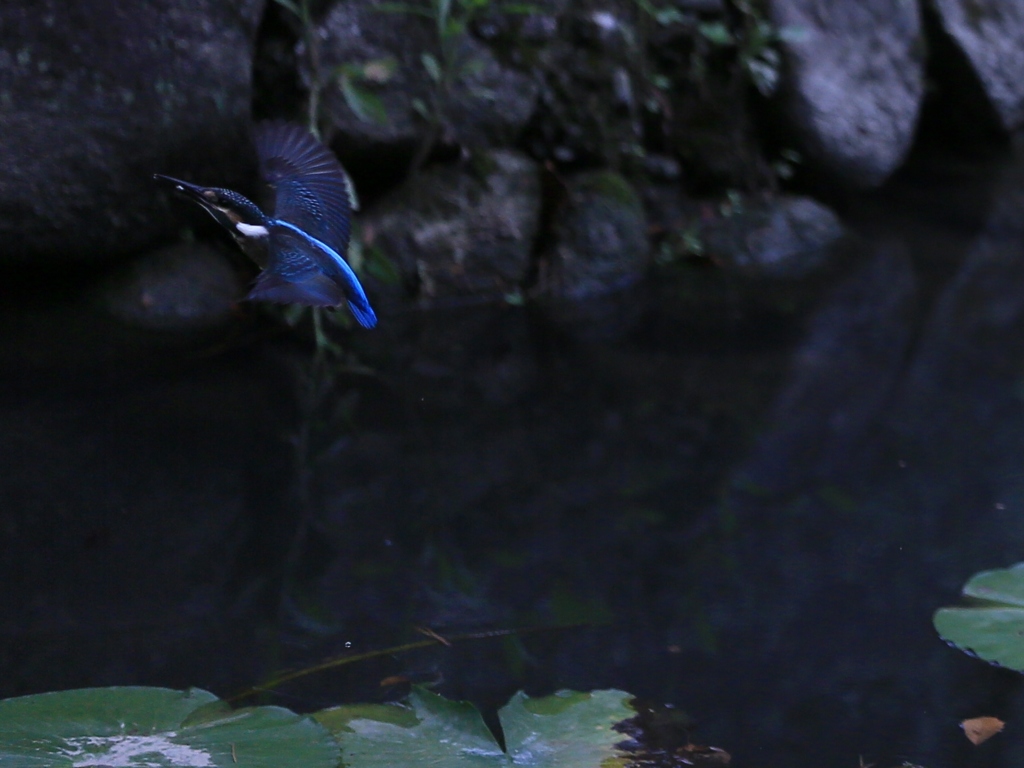 上昇気流