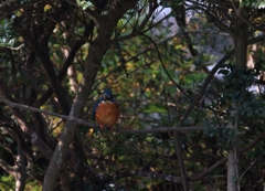 また、此処だよ！