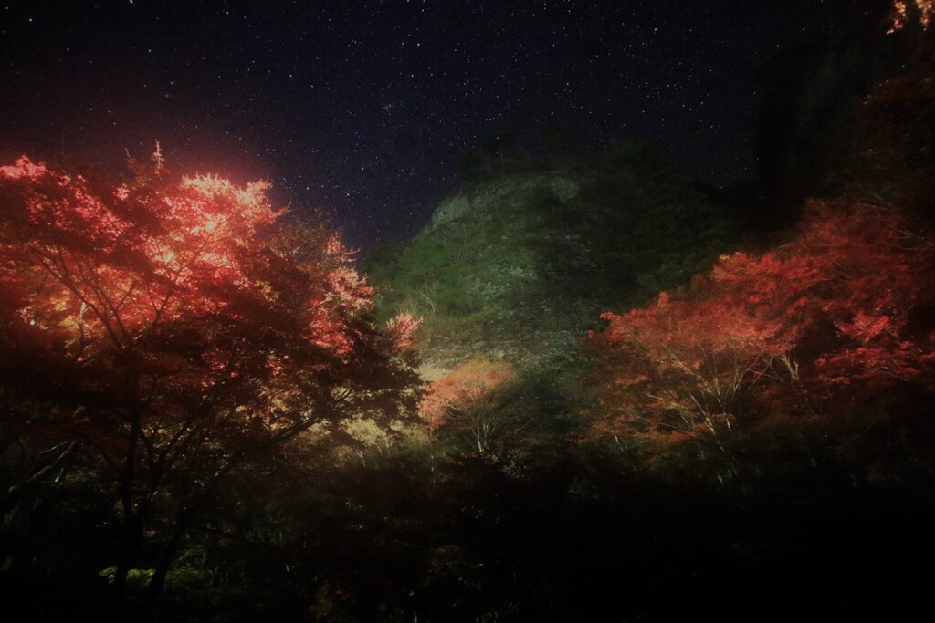 古岩屋の紅葉　①