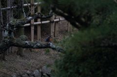 更に、その奥へ...