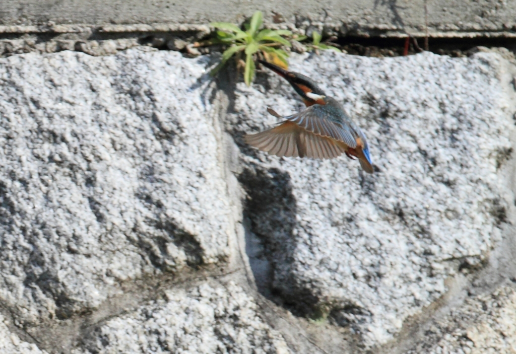 日当たり急上昇...