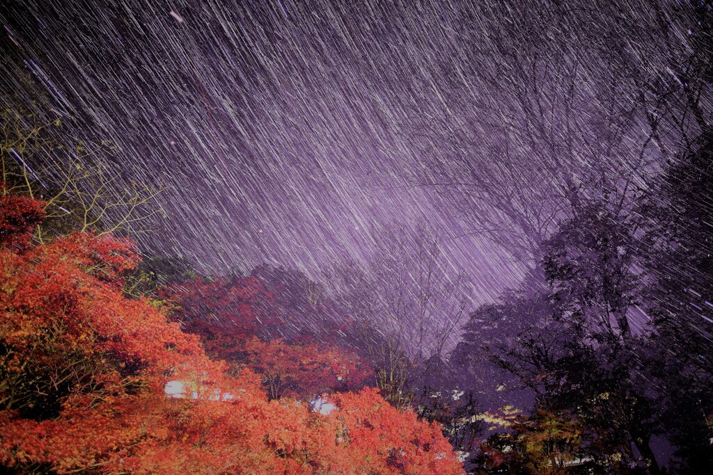 古岩屋の紅葉　②