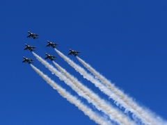 えひめ国体　展示飛行　②