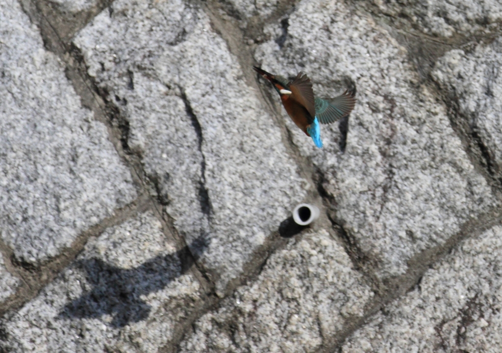 石垣の上まで...