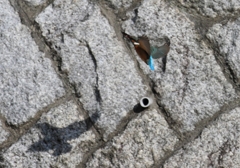 石垣の上まで...