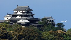 飛行機がショボい