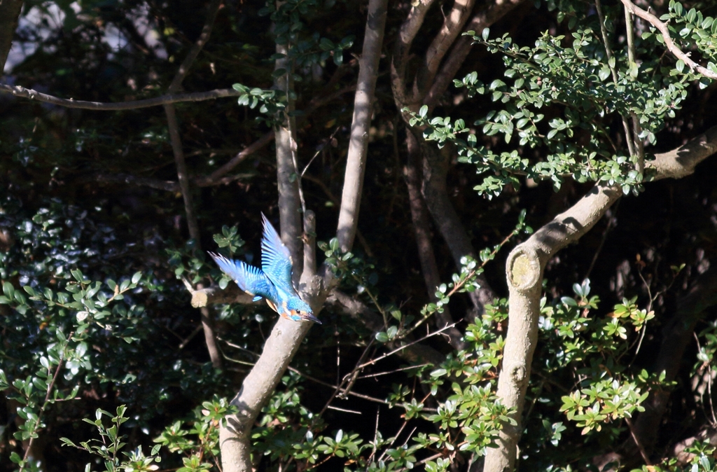 なんか、、、変な...