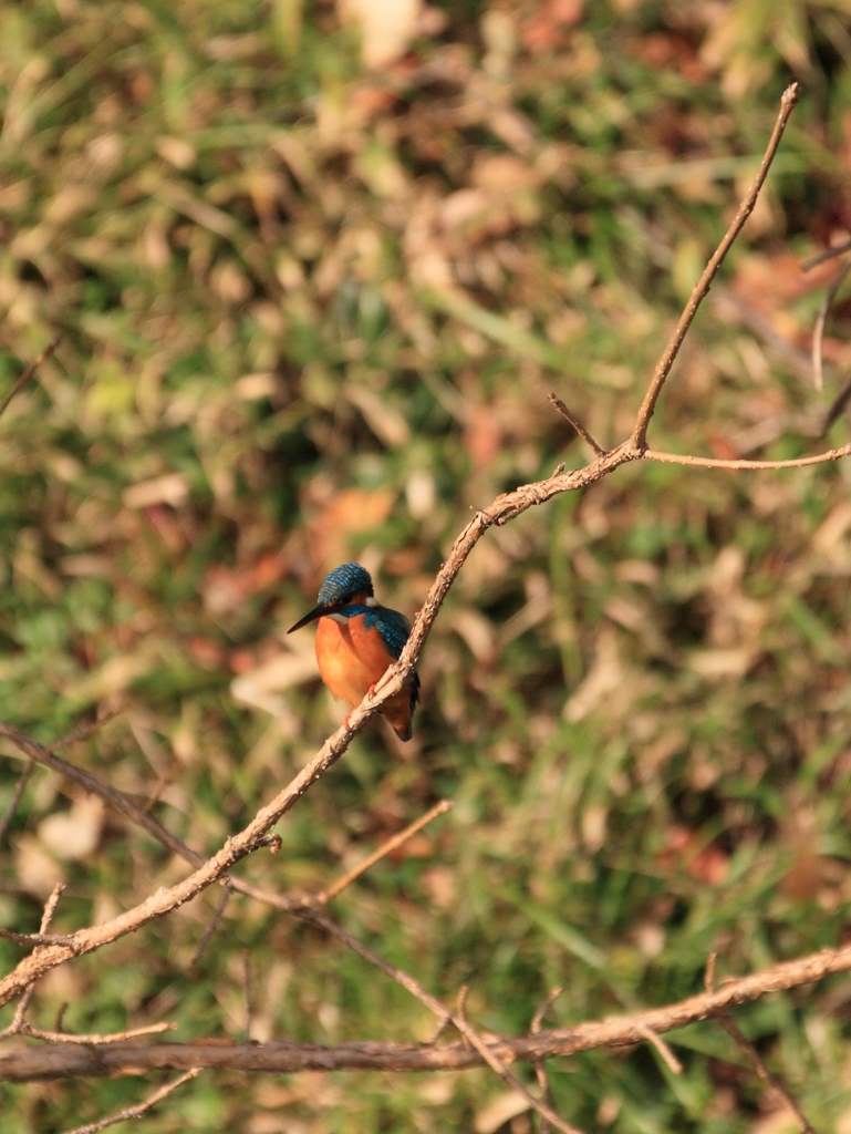 止まるべき場所