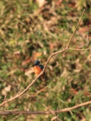 止まるべき場所