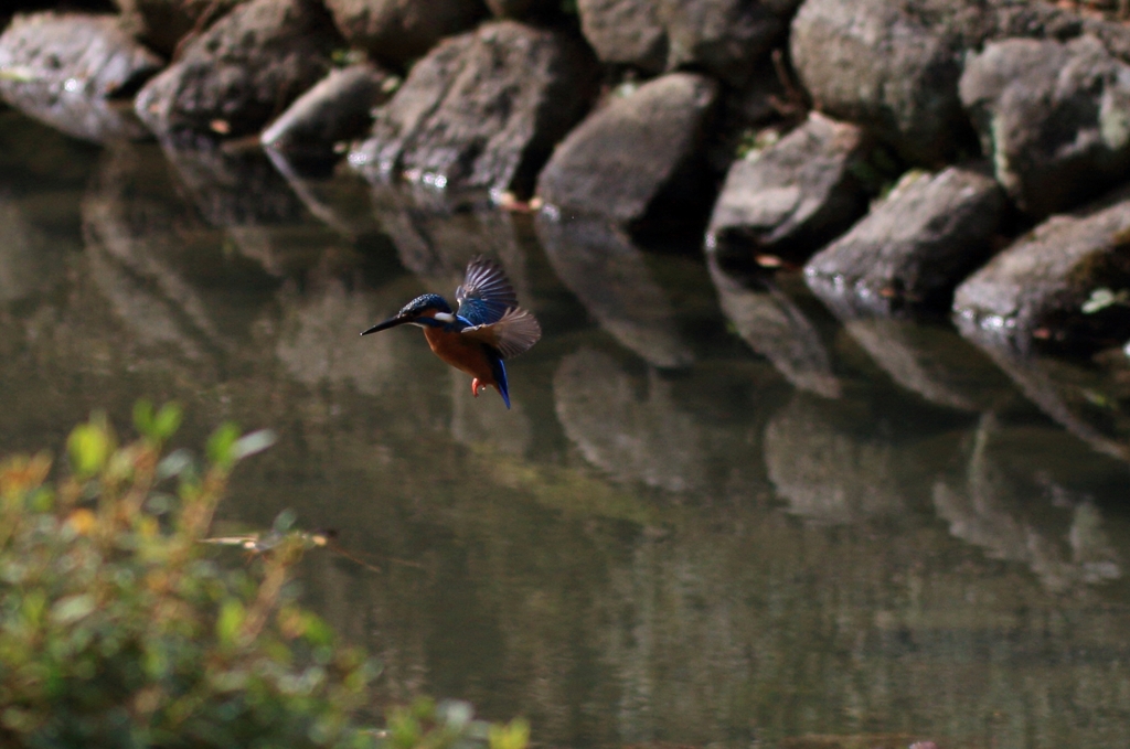 ホバから方向転換4