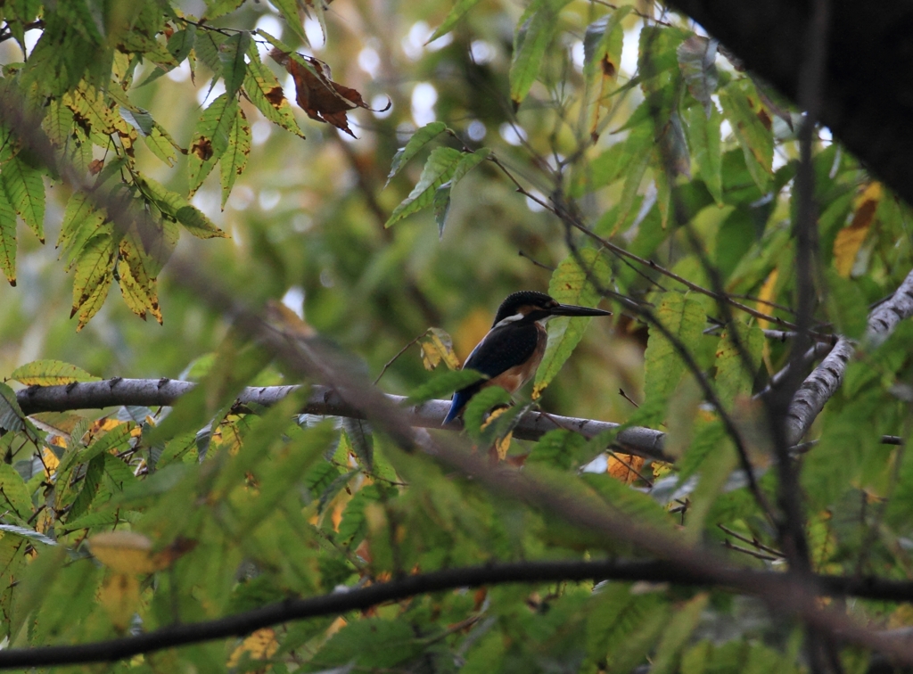 飛び立ったその後...