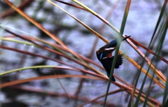 なんで...風が吹くの...