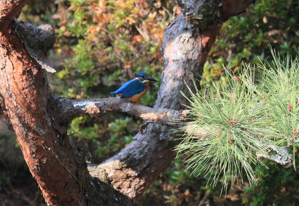 中庭でのお遊戯...