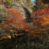 紅葉　②