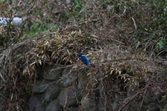 外堀　有料駐車場　横