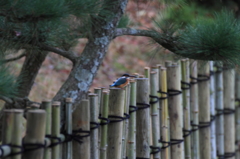 行き先、思案中...