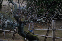 着地態勢通過2コマ目