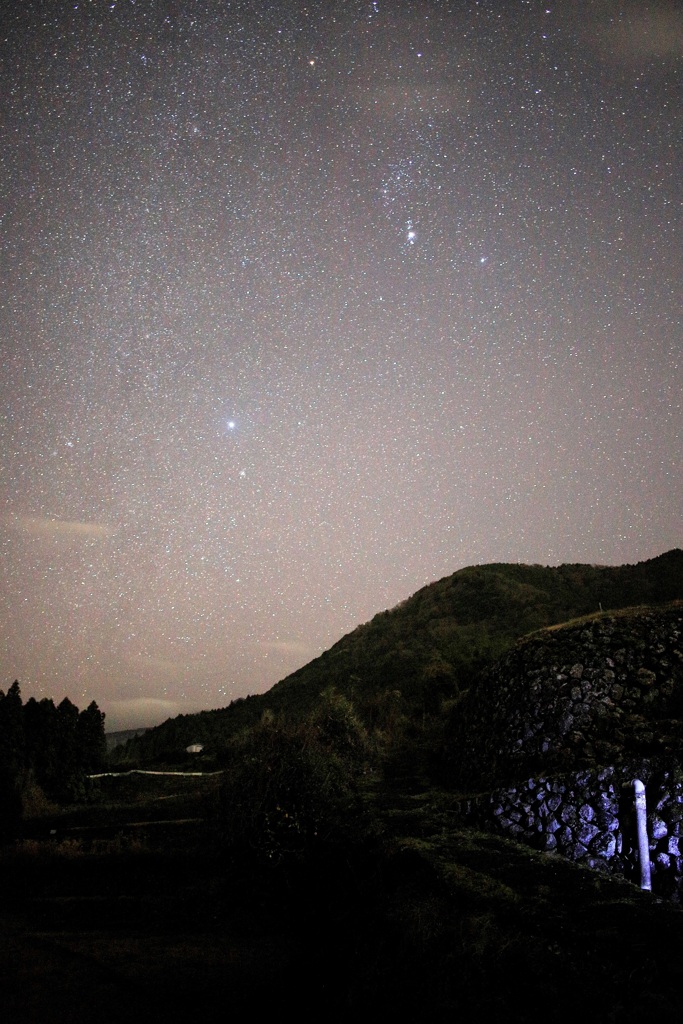 平日の夜　①