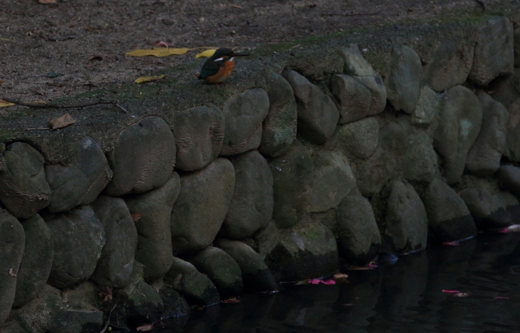 朝は、活発ですネ！