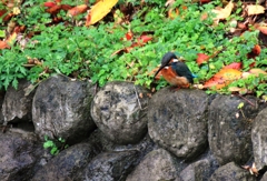 お腹空いたわ...