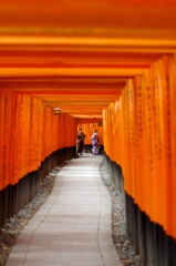 千本鳥居