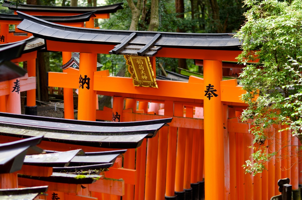 千本鳥居