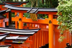 千本鳥居