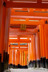 千本鳥居
