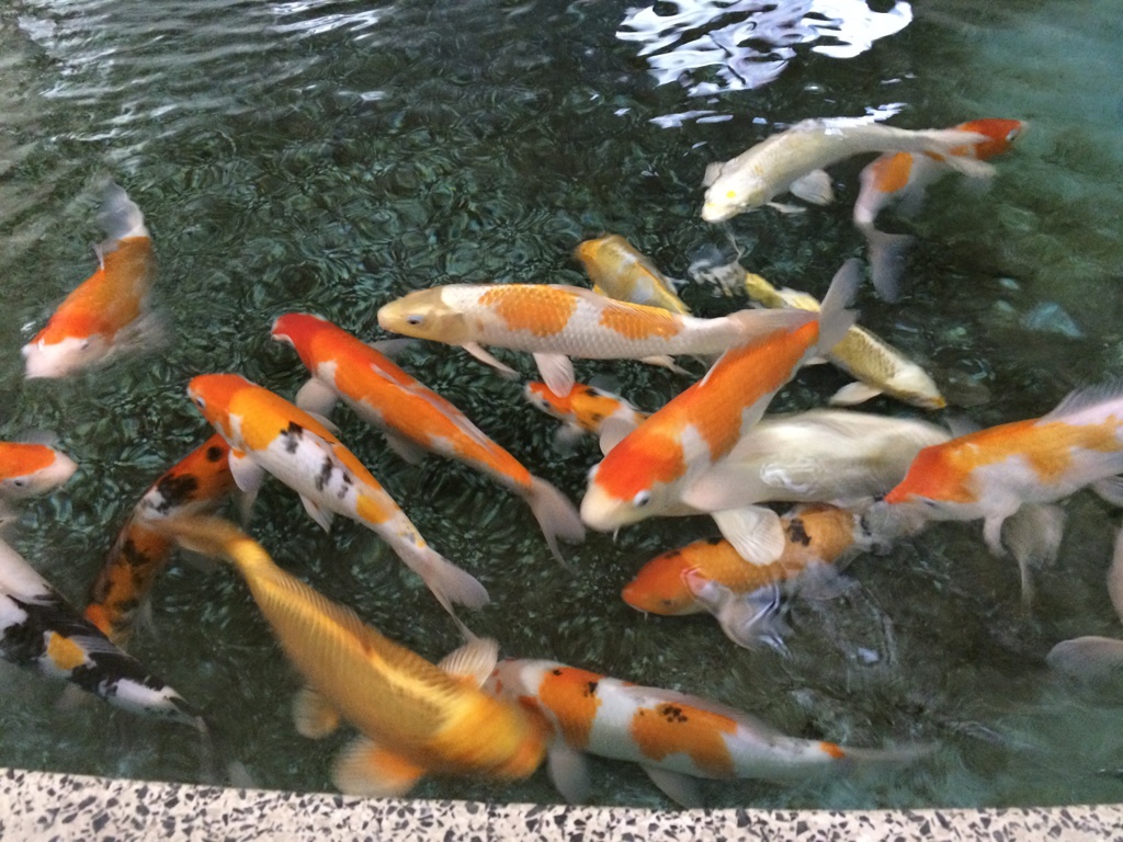 仲良し