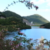 花より湖はここです・
