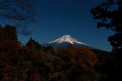 紅葉より富士山を望む