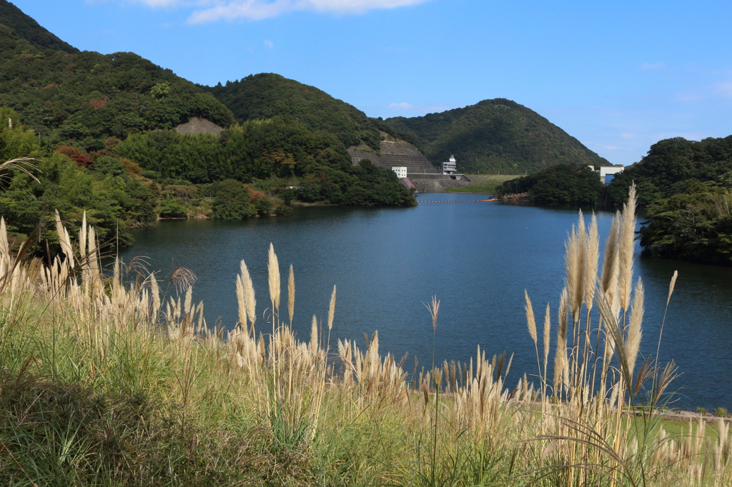 眼下に広がるダム湖