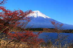 田貫湖からの富士山